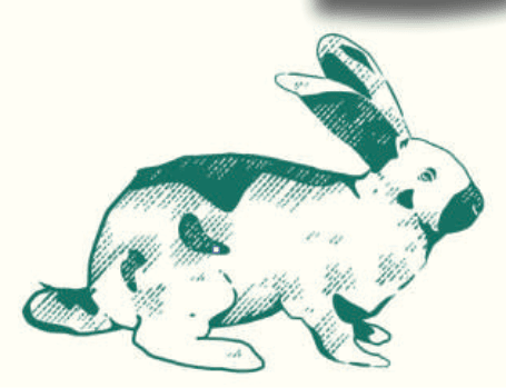 > Demi lapin