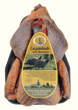 PINTADE